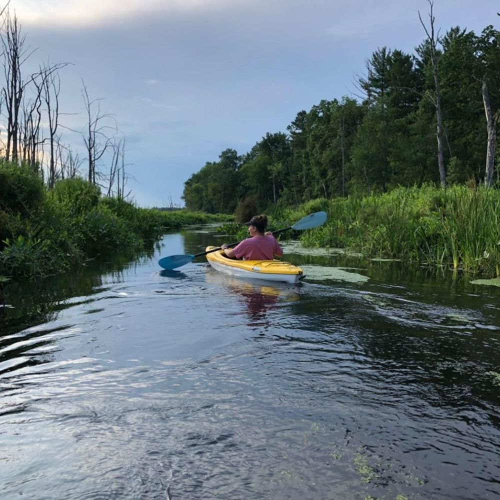 Meet your Posher, Beth